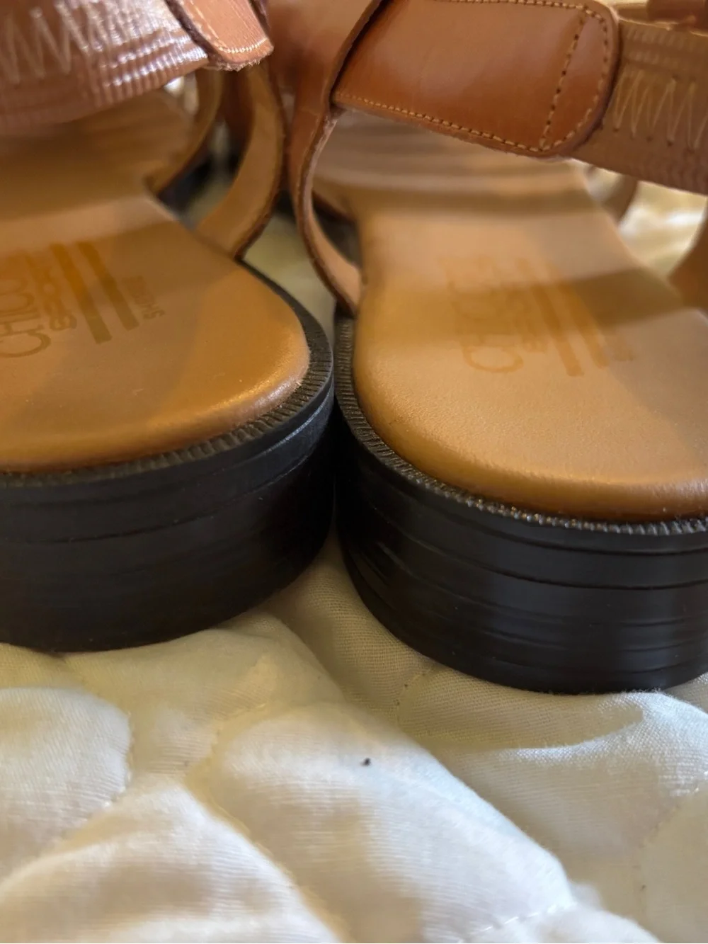 Chicory leather multi